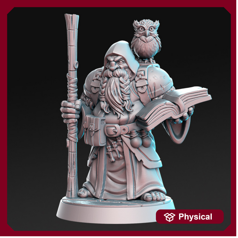 Dramnir - Dwarf Wizard with owl - 32mm - DnD