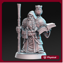 Dramnir - Dwarf Wizard with owl - 32mm - DnD