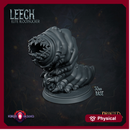 Leech 02