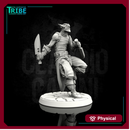 (0020) Male human tiefling elf hobgoblin thief rogue with knives