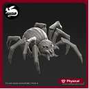 Pumpkin Spider 4