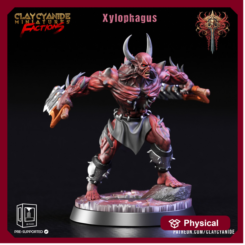 Xylophagus