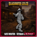 Nate Winston - Veteran Gunslinger