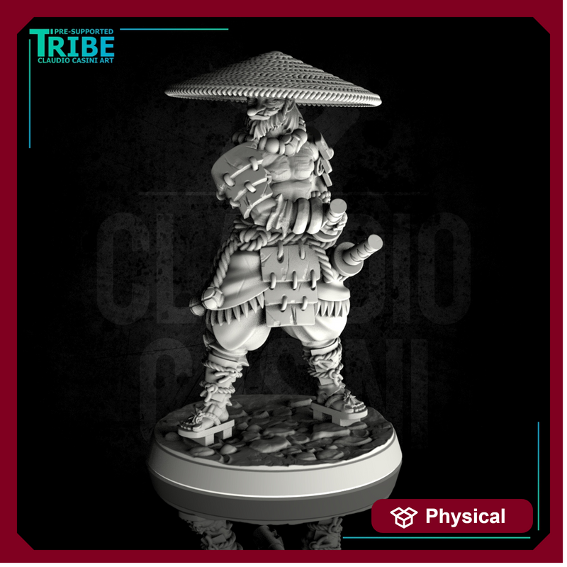 (0116) Male samurai warrior tengu elf human firbolg half orc tiefling with two katana - Only-Games