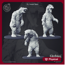 Undead Bears