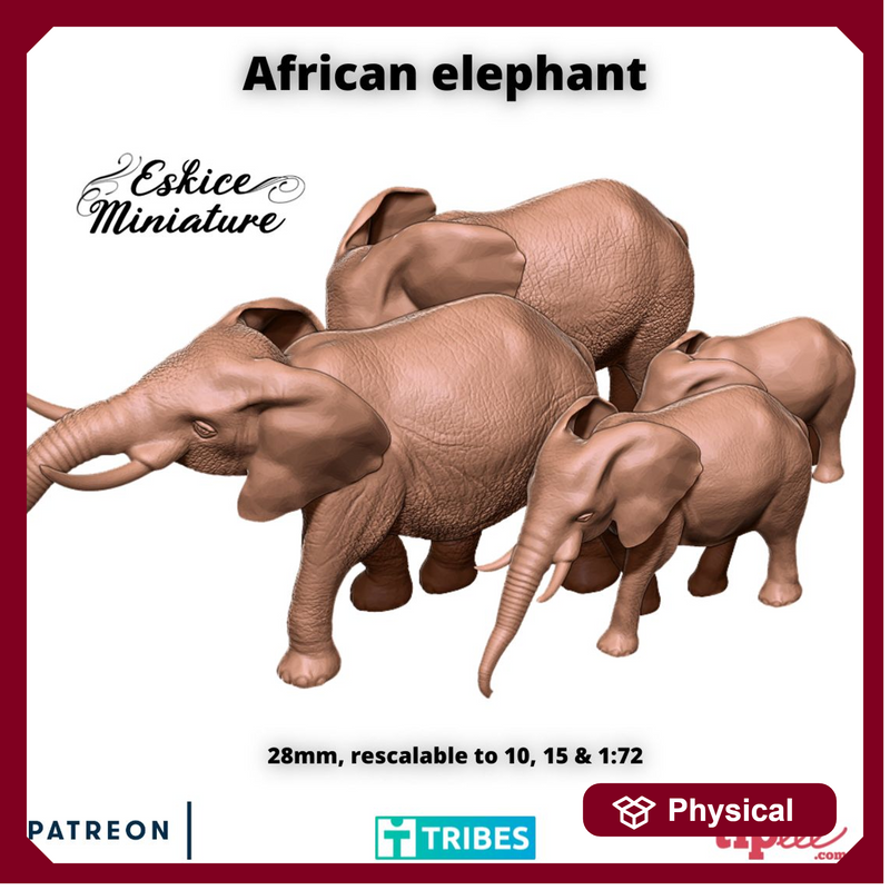 African Elephant x4 - 28mm