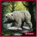 Brown Bear