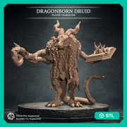 Dragonborn Druid, Warden of the Wilds - Only-Games