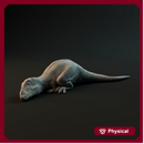 Carcharadontosaurus hatchling sleeping