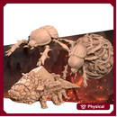 Little creatures Pack