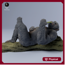 Chimpanzee on a Tree 1/43