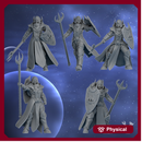 Silver Guards Squad x5 (spears)