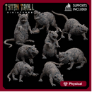 Giant Rat Bundle - TytanTroll Miniatures - DnD - Fantasy