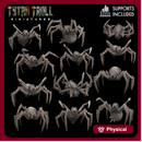 Giant Spider Bundle - 32mm - DND - Pathfinder