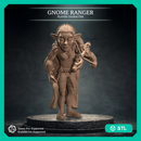 Gnome Ranger