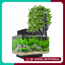 Modular Aquaponics Setup