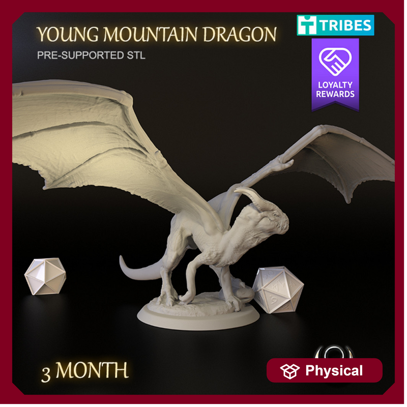 Young Mountain Dragon