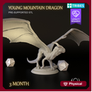 Young Mountain Dragon