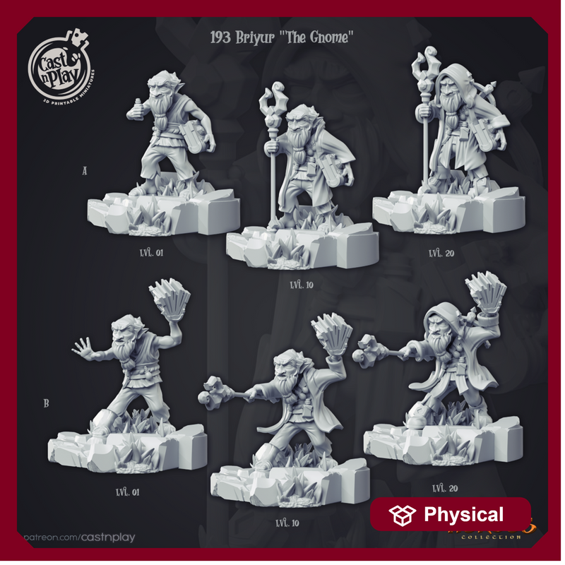 Briyur The Gnome - Only-Games