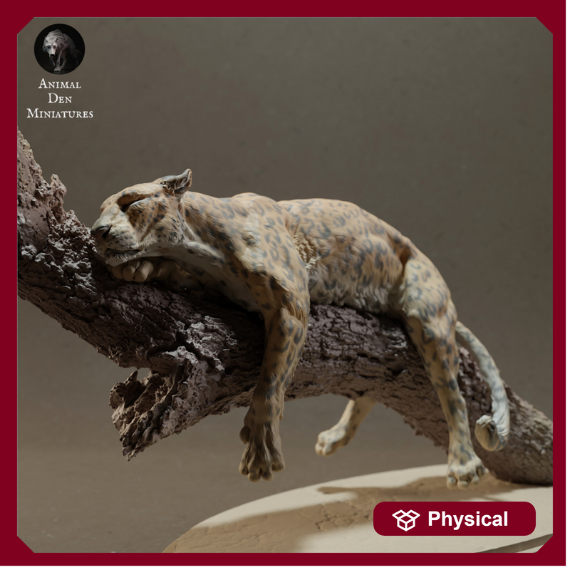 African Leopard on a Tree - Only-Games