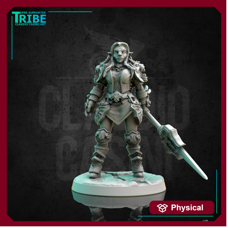 (0300) Female human elf tiefling half-orc firbolg warrior fighter woman with spear and a complete armor