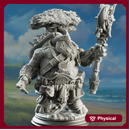 Tortle Wiseman Wizard - Elki the Wanderer