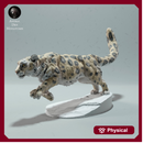 Snow Leopard Run 1:12