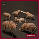 Spotted Hyena Pack 1/20