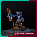 Geckold Sourcerer - Full color