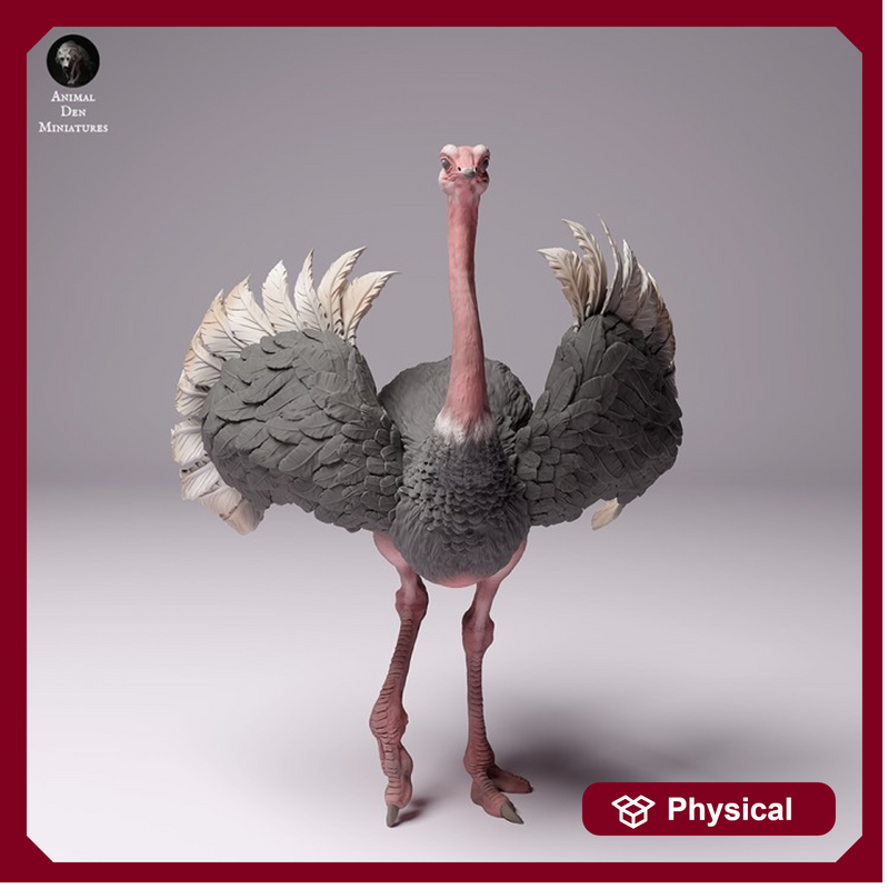North African Ostrich Male 1/43