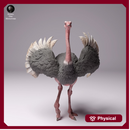 North African Ostrich Male 1/43