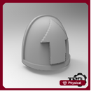 Troop Pauldron X10