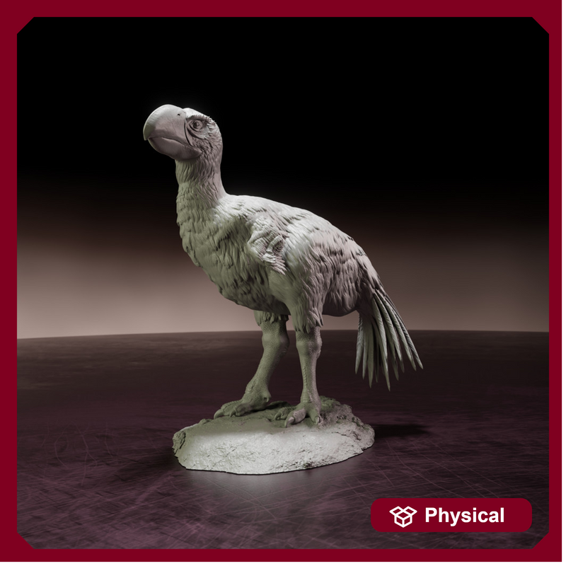 Brontornis standing 1/24 scale
