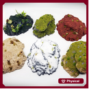 Dynamic Hills Outcropping Bundle