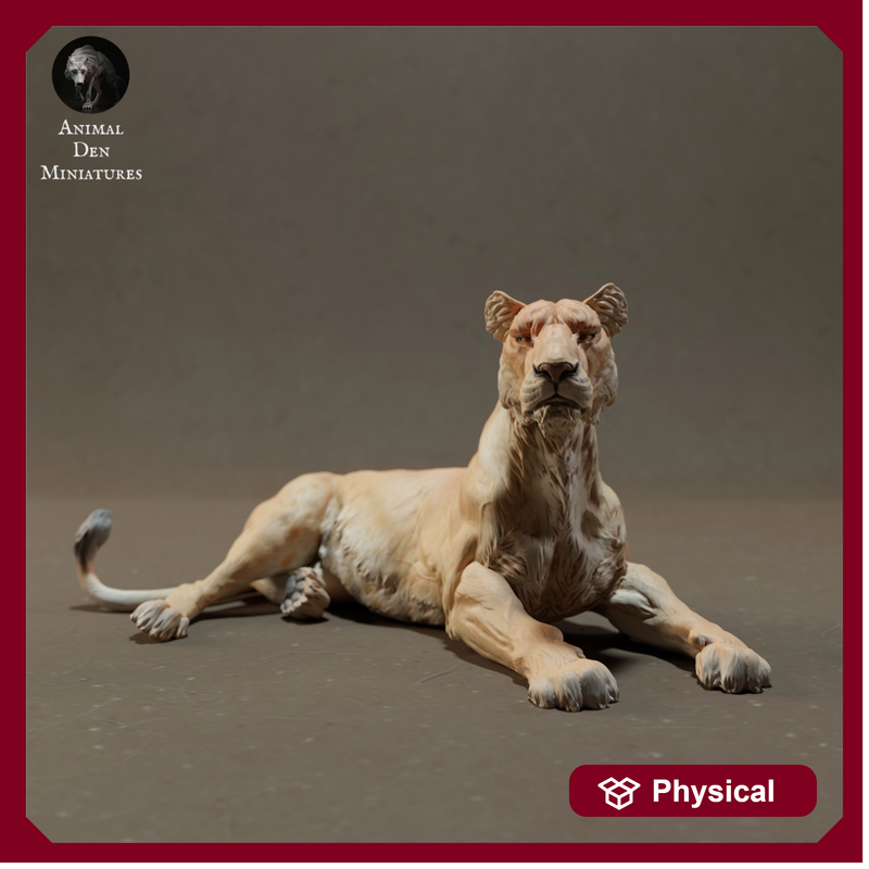 Lioness Lying 1/43
