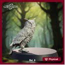 Owl - Sitting