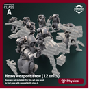 Heavy Weapons Team. Frostguard Regiment. Imperial Guard. Compatibility class A.