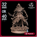 Court Wraith Assassin