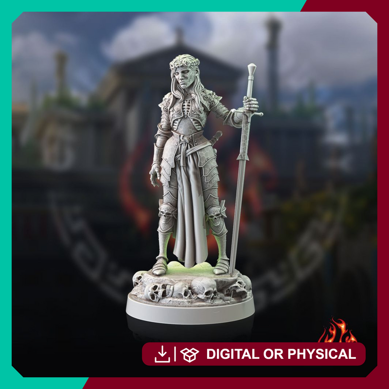 Death Paladin