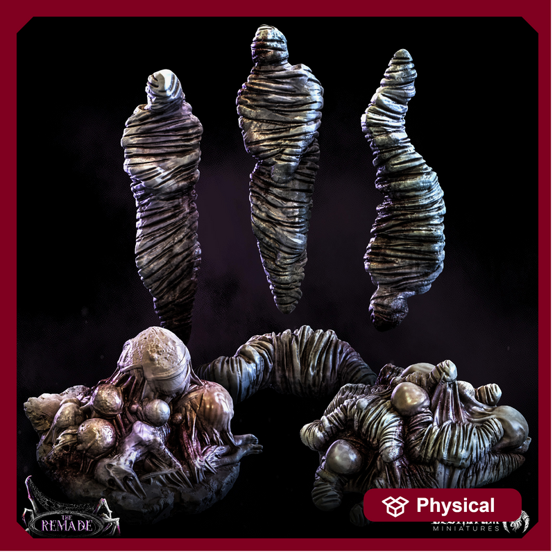 Spider Cocoons