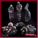 Spider Cocoons