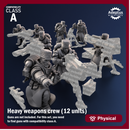 Heavy Weapons Team. Coldreach Regiment. Imperial Guard. Compatibility class A.
