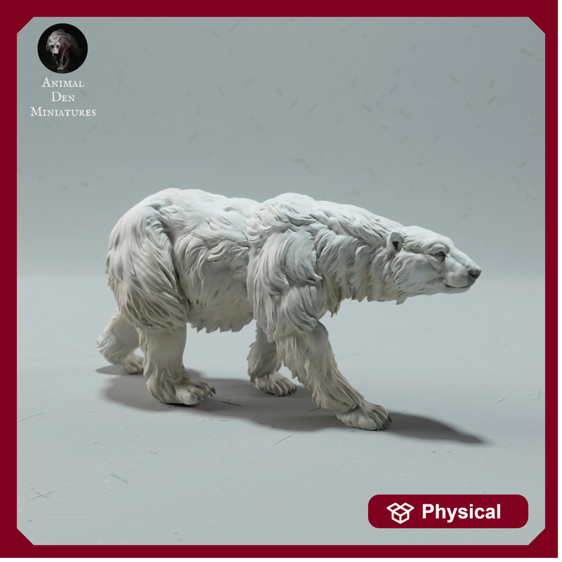 Polar Bear Walking