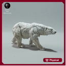 Polar Bear Walking