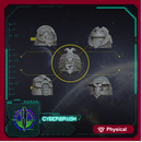 Imperial Hands Shoulder pads