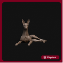 Pharaoh Hound dog laying down