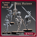 Mul Raider