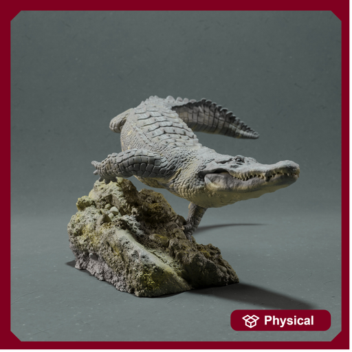 American Alligator - Swim - Only-Games