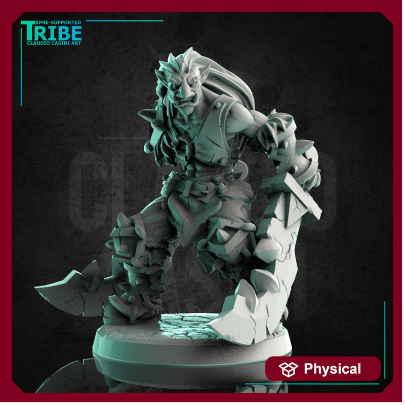 (0228)  Male Half troll barbarian warrior with two great swords