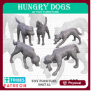Hungry Dogs (Harvest of War)